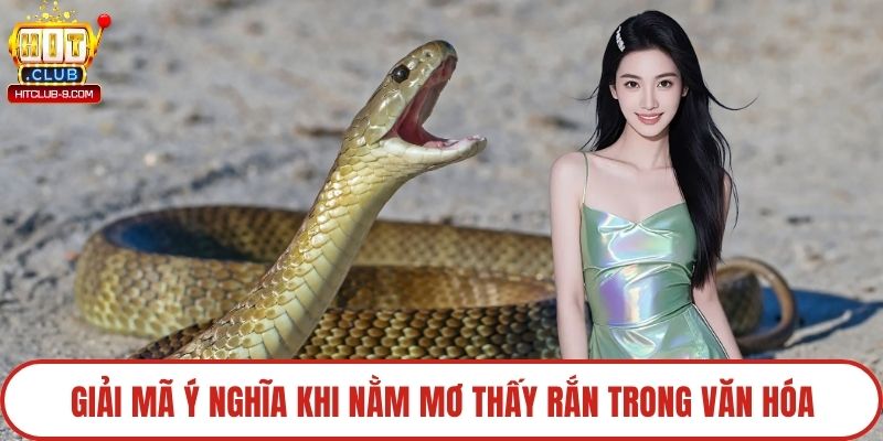 Giải mã ý nghĩa khi nằm mơ thấy rắn trong văn hóa