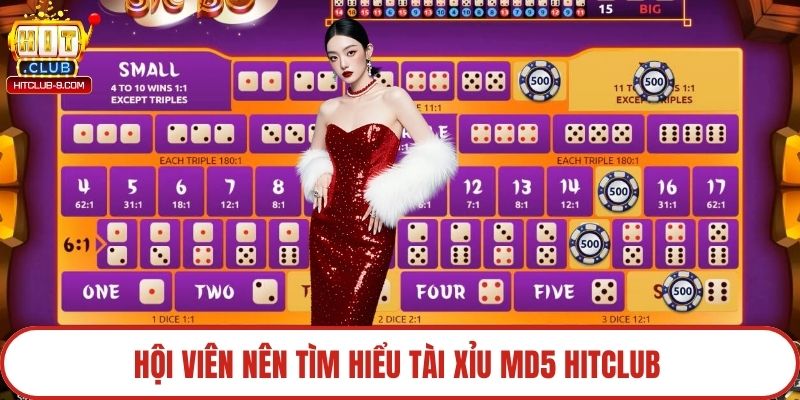 Hội viên nên tìm hiểu tài xỉu MD5 Hitclub