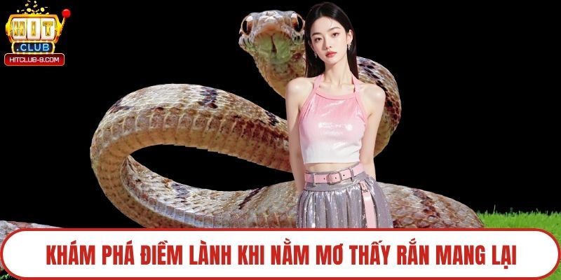 Khám phá điềm lành khi nằm mơ thấy rắn mang lại
