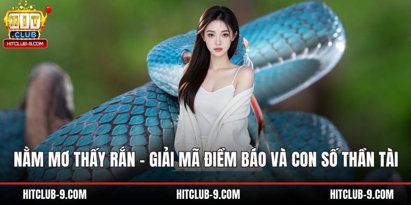 Nằm Mơ Thấy Rắn – Giải Mã Điềm Báo Và Con Số Thần Tài